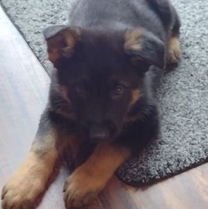 Meet your Posher, Ed